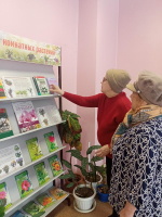 «Мир комнатных растений»